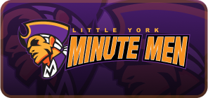 Little York logo